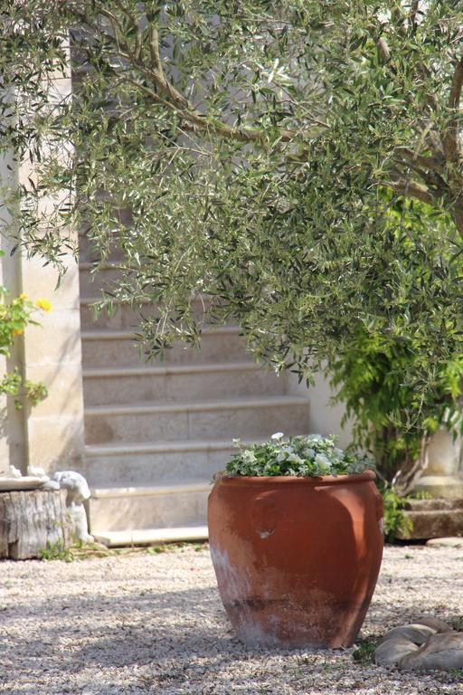 Sous Les Platanes B&B Châteaurenard Εξωτερικό φωτογραφία