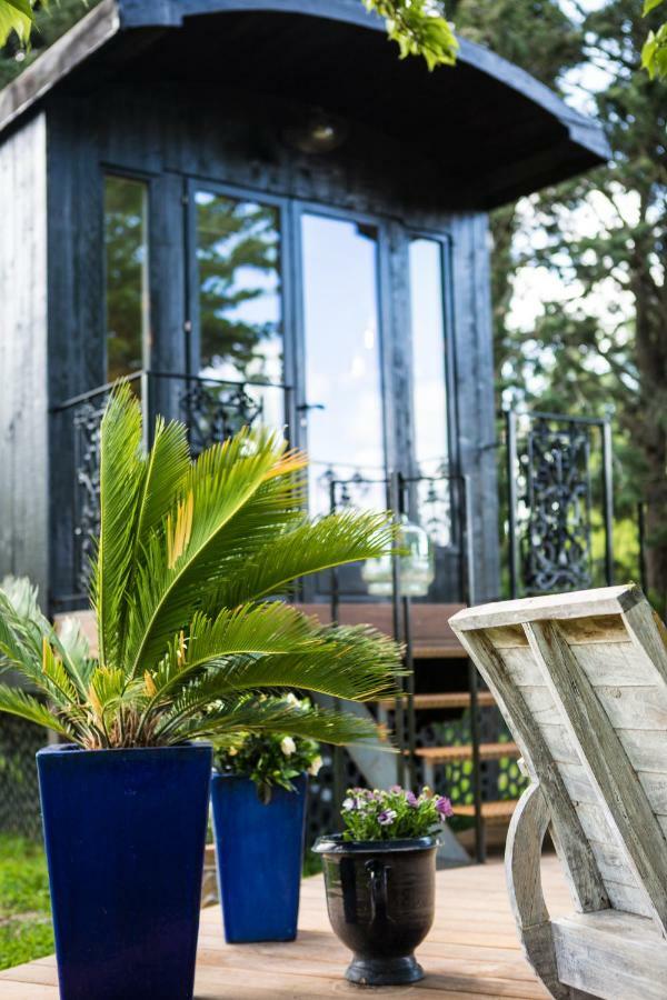 Sous Les Platanes B&B Châteaurenard Εξωτερικό φωτογραφία